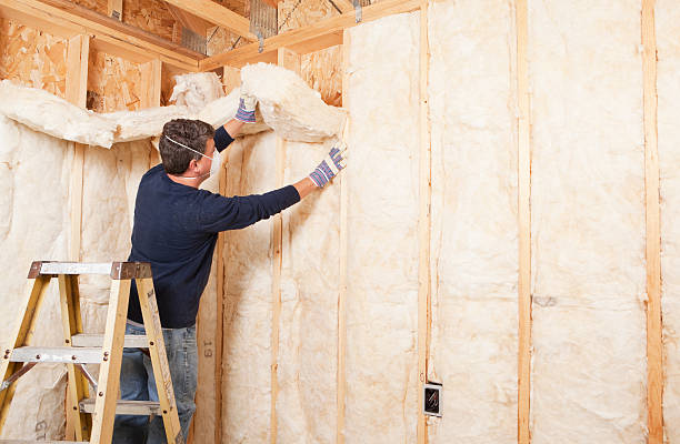 Best Batt and Roll Insulation  in Bolivar, WV